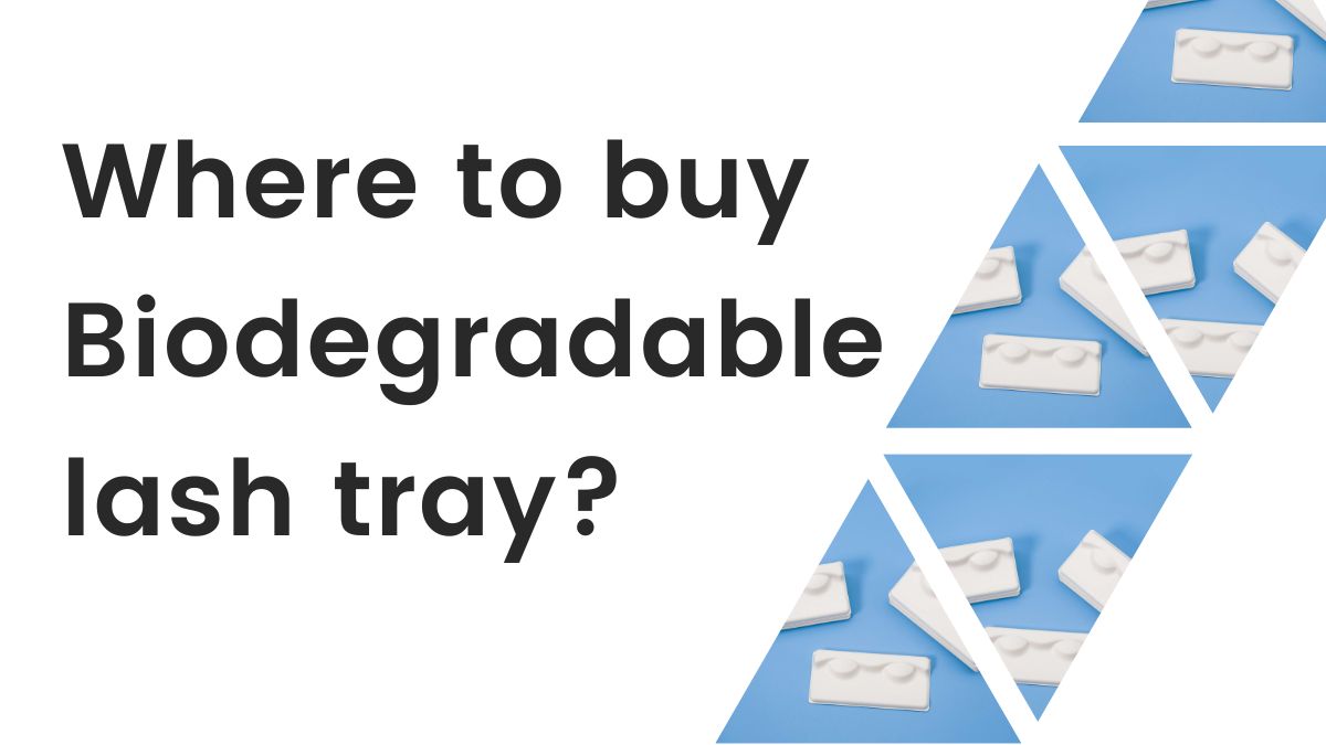 Where to buy Biodegradable lash tray